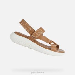 XV0638 spherica ec5w moteris kupranugaris Geox