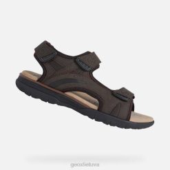 XV06838 spherica ec5 žmogus kavos Geox